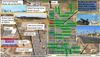 35800 Whitewood photo
